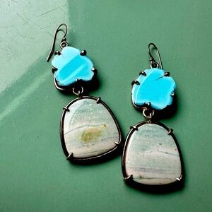 Artisan made turquoise and fossilized wood earrings with ss bezel and hooks